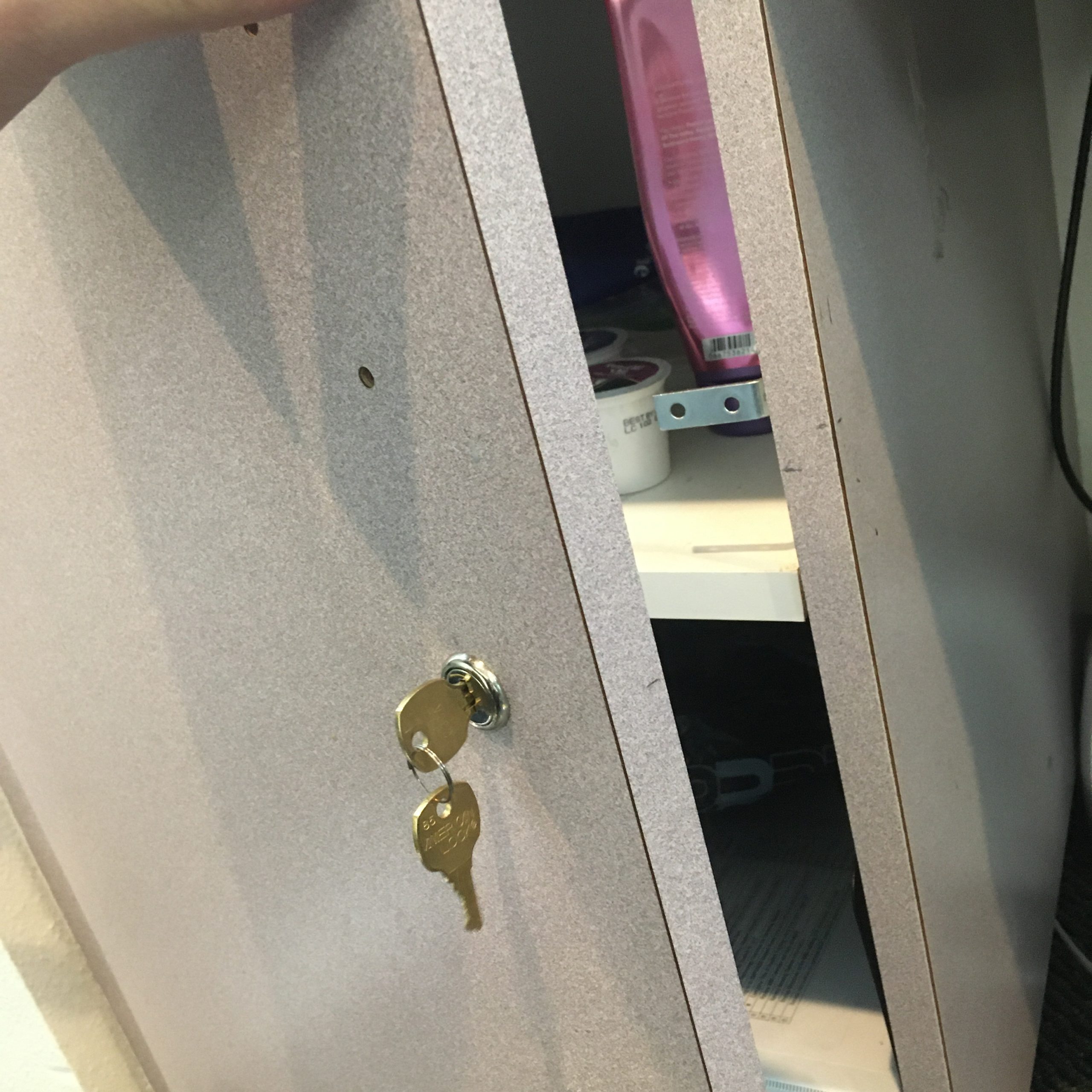 Cabinet Door Lock